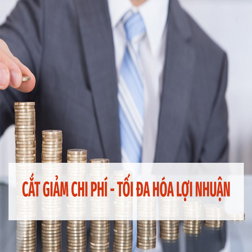 3 lý do bạn nên sở hữu một chiếc máy tời điện 